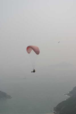 Pink Paraglider over water