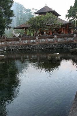 Pool at Pura Taman Saraswati