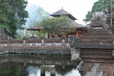 Pool Pura Taman Saraswati (Landscape)