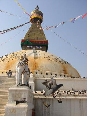 Pigeons on Boudhanath Stupa