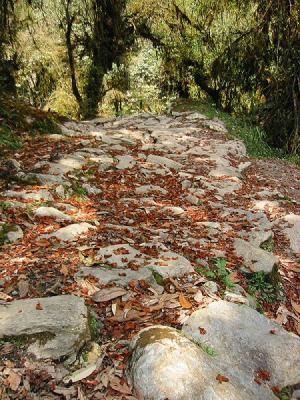 Stones Steps Near Banthanti