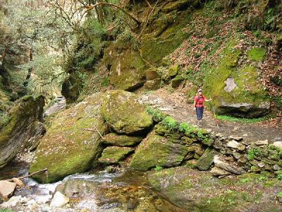 Areeya at Trail Near Ghorepani