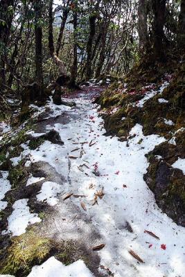 Path Full of Hail