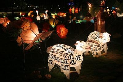 Sheep in the Lantern Garden