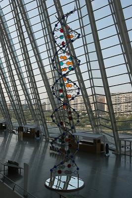 DNA Sequence inside Museu de Les Ciencies Principe Felipe