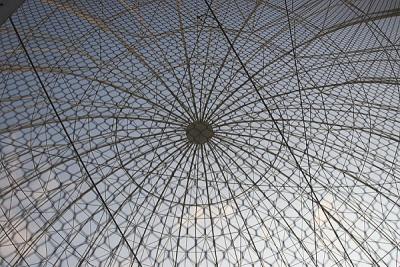 Mesh Dome of the Wetlands