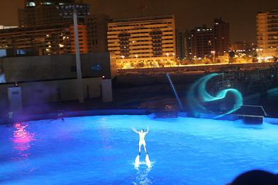 Dolphin show at the Dolphinarium