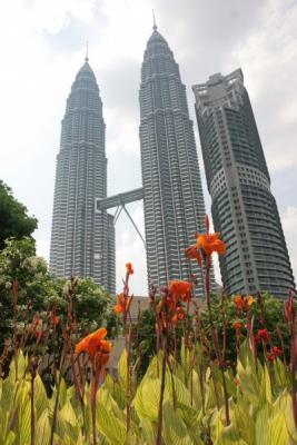 Flowers and the Petronas Twin Towers