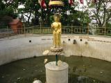 Buddha Statue in Wishing Well