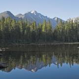 z Longs Peak in Nymph Lake RMNP.jpg