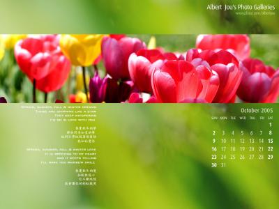 Q६_October_2005