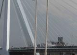 P8137687a.jpg