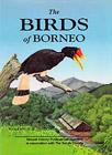 Borneo1.jpg