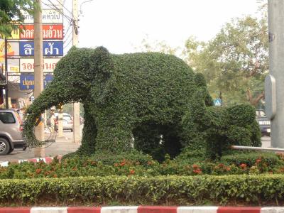 Topiary elephants