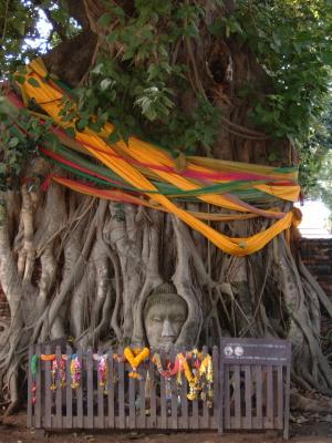 Buddha in a Bodhi tree