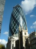 The gherkin