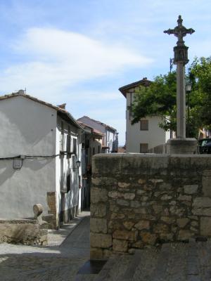 v3/33/264033/3/46946956.MORELLA10.jpg