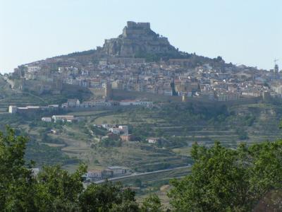 v3/33/264033/3/46972626.MORELLA14.jpg