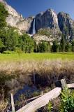 Yosemite falls from meadow, 5/05
