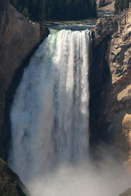 Yellowstone Falls.jpg