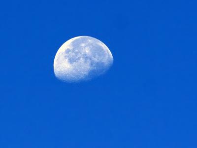 v3/33/376833/3/49647191.MoonShot1.jpg