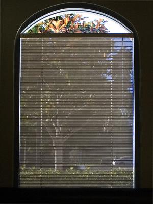 September 29:  The View