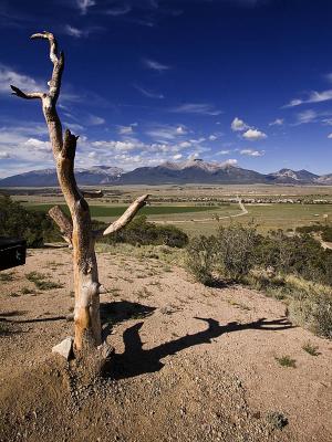 Westward View copy.jpg