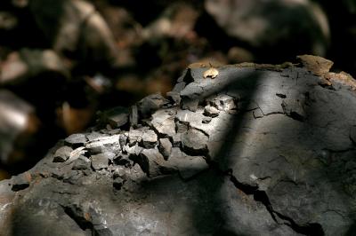 Textures2