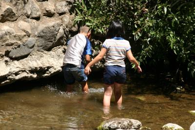 Kids, Creeks, Must be Summer!