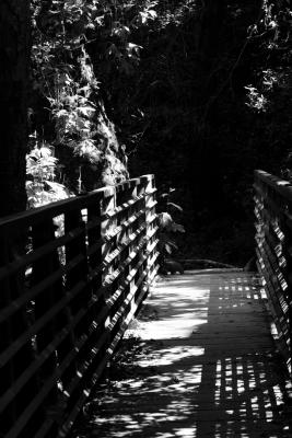 A bridge to...