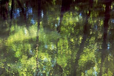 princeton_canal