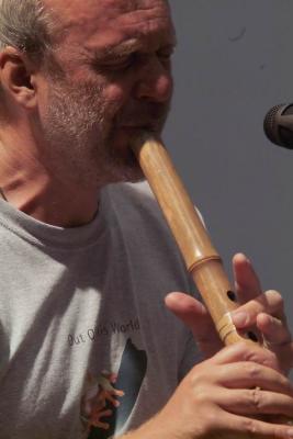 micus_051.jpg
