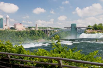 CRW_5906.JPG