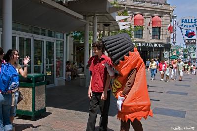 v3/33/41533/3/46164678.CRW_6150ps.jpg