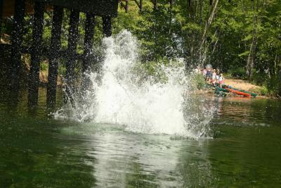 IMG_7168.jpg