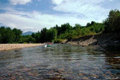 IMG_7186.jpg