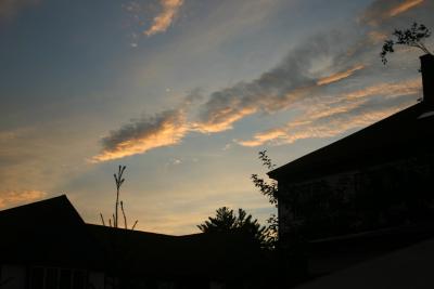 IMG_7375.jpg