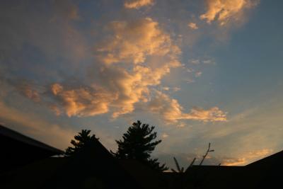 IMG_7376.jpg