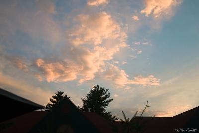 CRW_7376-default.jpg