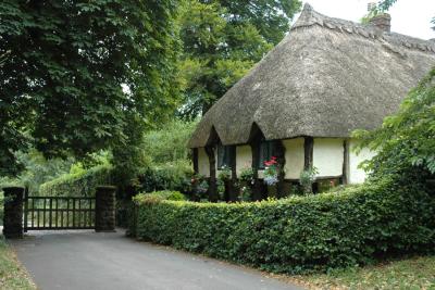 20 July - Thatched Cottage