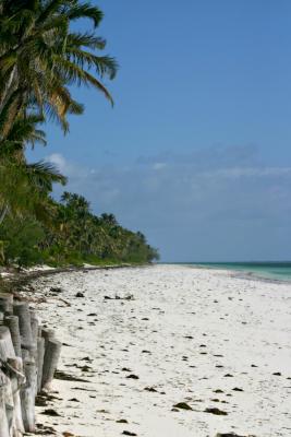Bwejuu beach, Zanzibar east coast
