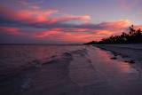 Zanzibar sunset beach, Bwejuupalm trees