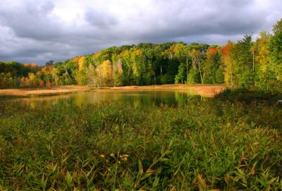 Metro Parks