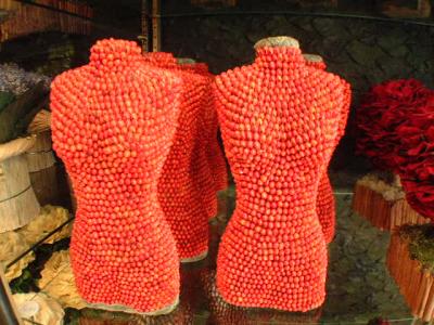 les couturiers de la nature