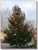 Sapin de Nol, la Place