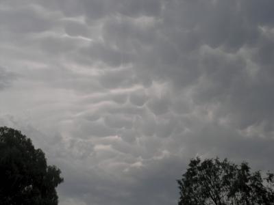 mammatocumulus clouds.jpg