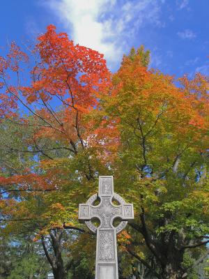 cemetary and fall leaves.jpg