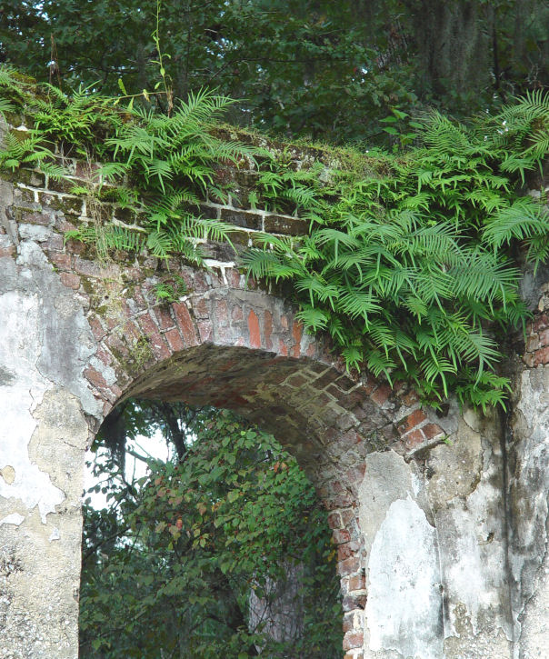 arch view small.jpg