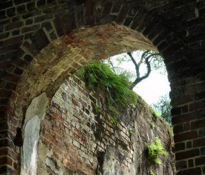 arch with moss.jpg