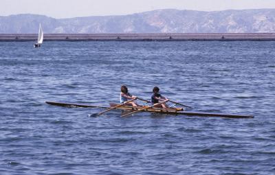 rowing in the old port 1.jpg
